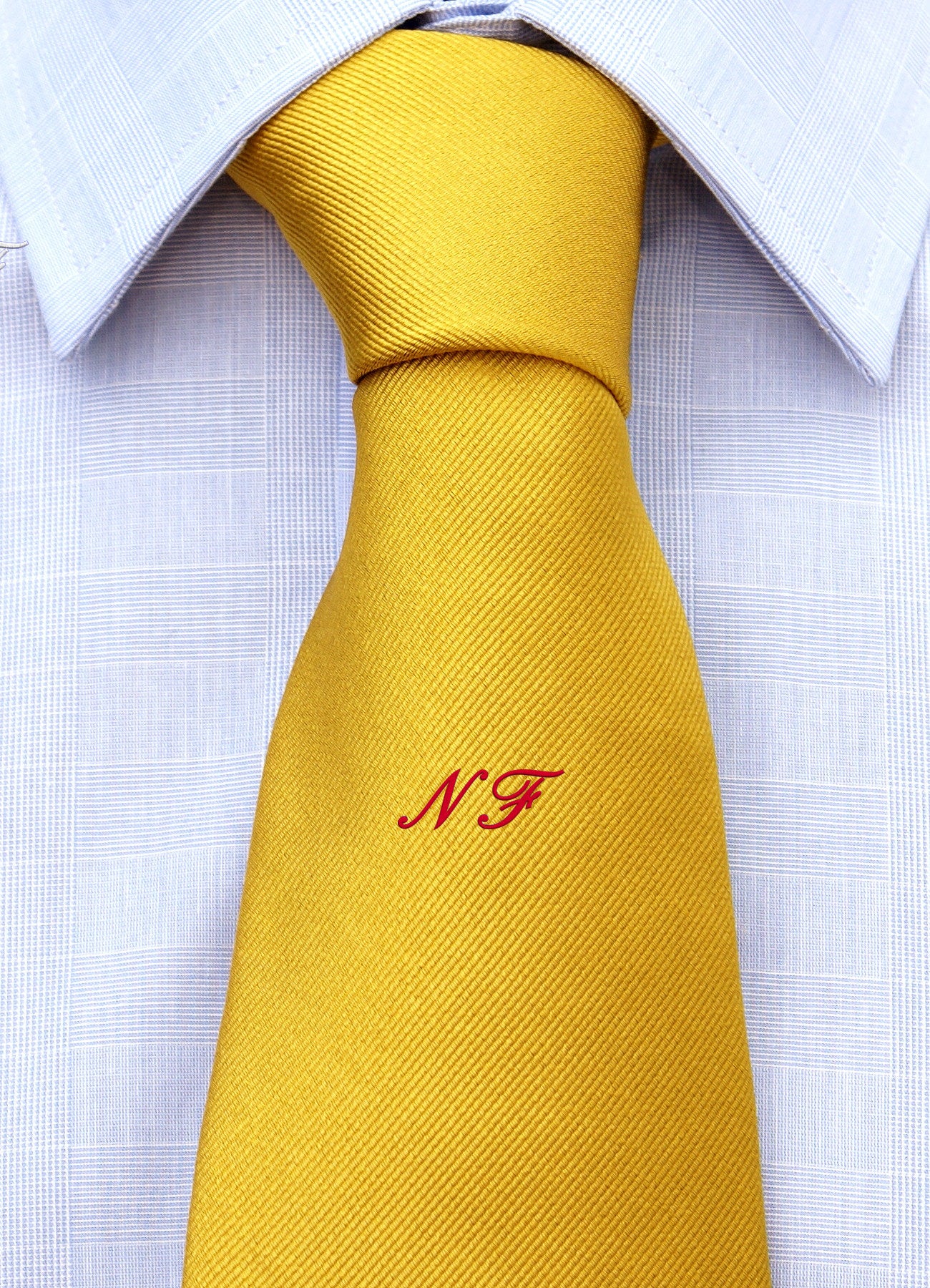 Cravatta con le Tue iniziali un stile "Michelangelo"